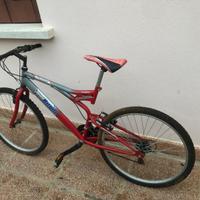 Mountain bike