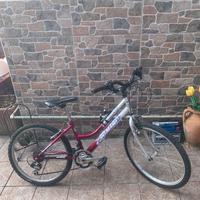 Bicicletta 24