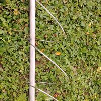 Pali x pomodori e altro 