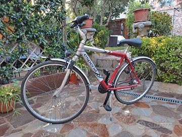 bicicletta in alluminio  da uomo ruote da 28