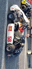 Go kart italcorse tm k9c