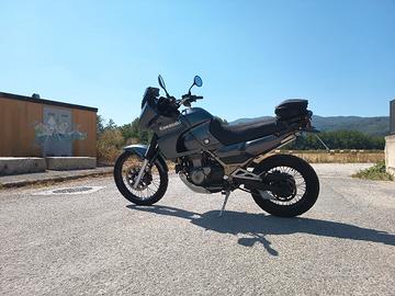 Kawasaki KLE 500