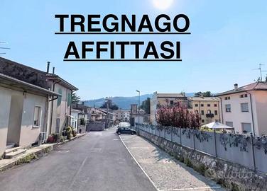 TREGNAGO- BILOCALE
