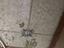 Immagine 26