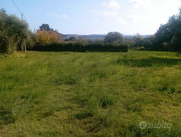 Terreno edificabile