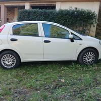 FIAT PUNTO EVO
