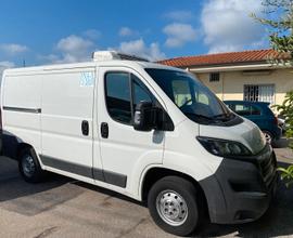 PEUGEOT Boxer 2.0 MTJ ISOTERMICO ATP CON FRIGO