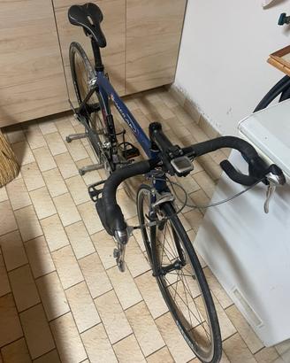 Bici de rosa