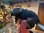 Immagine 3