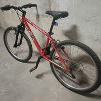 Bicicletta MTB per ragazzi 24" Torino