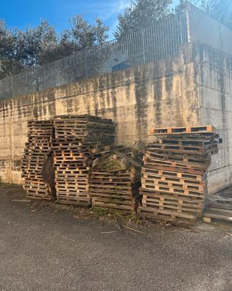 Legname