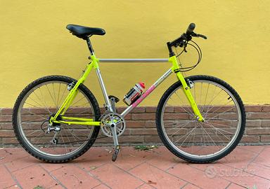 MTB Raleigh USA Vintage