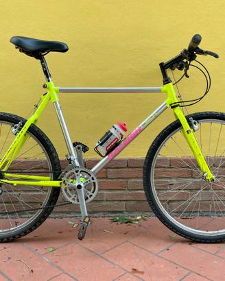 MTB Raleigh USA Vintage