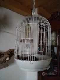 gabbia pappagallo 