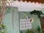 Immagine 6