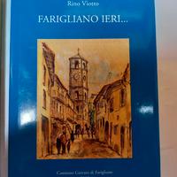 Farigliano ieri ... Rino Viotto  2005