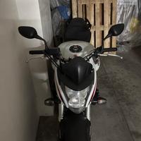 Honda hornet