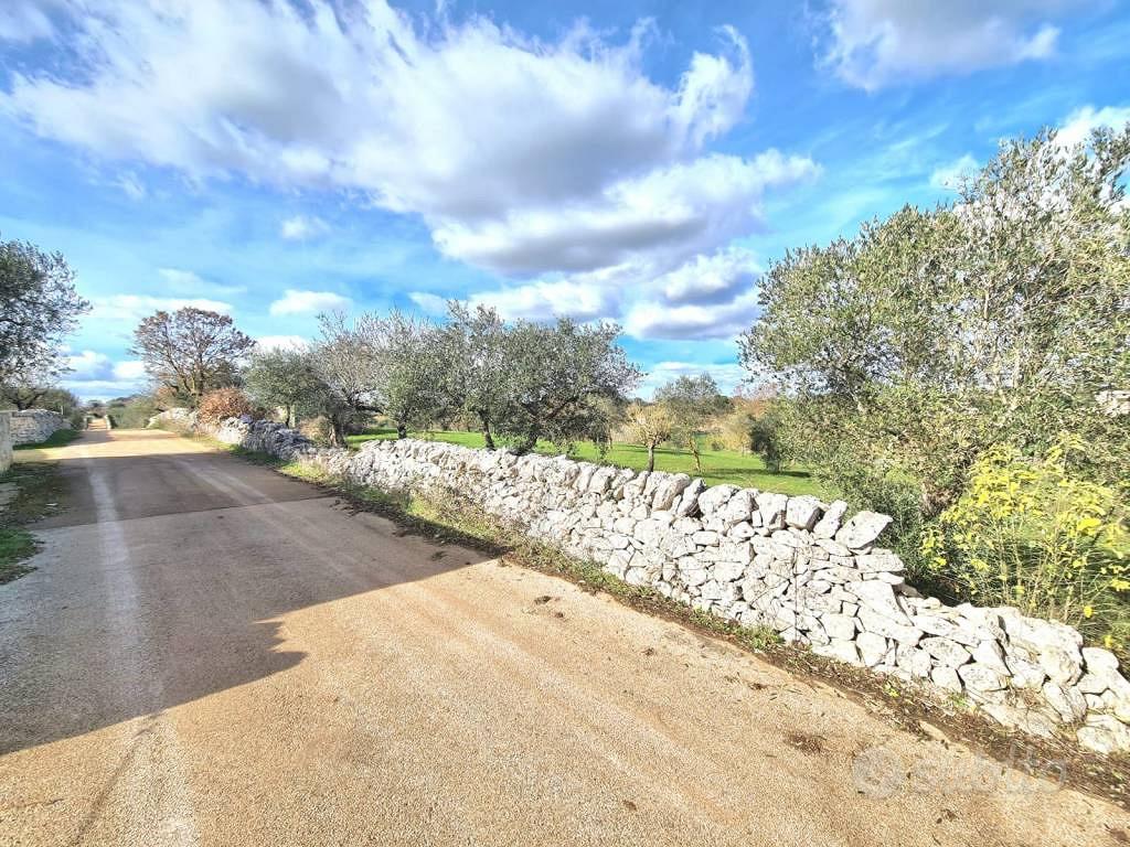 Terreno di 9900 m² a Alberobello - Vista 3
