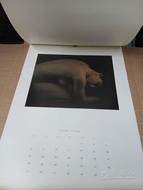 calendario