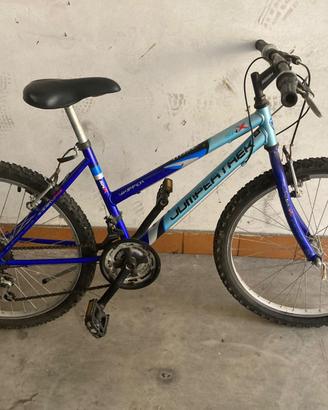 Bicicletta Jumper Trek