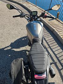 BENELLI LEONCINO 800 