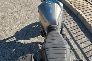 BENELLI LEONCINO 800 