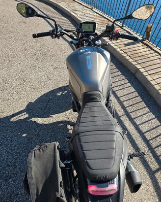 BENELLI LEONCINO 800 
