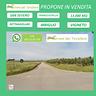 vigneto-13-000-mq-irriguo-san-severo