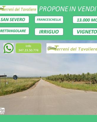Vigneto 13.000 mq irriguo - San Severo