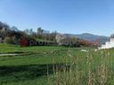 terreno-residenziale-oricola-cod-rif-3231659vrg-