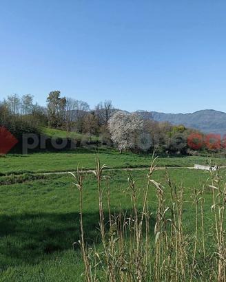 Terreno Residenziale Oricola [Cod. rif 3231659VRG]