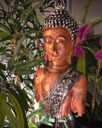 Mezzo Busto Buddha Resina Base Legno