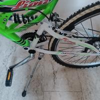 bicicletta mountain bike