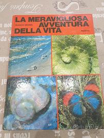 La meravigliosa avventura della vita - F. Brunel