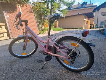 Bicicletta da nambina