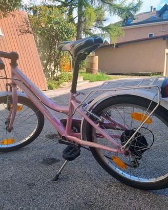 Bicicletta da nambina