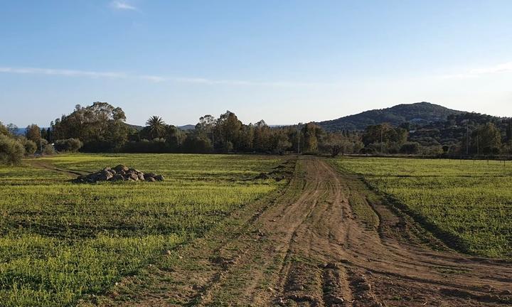 Terreno agricolo