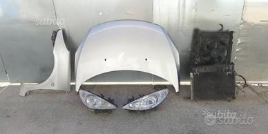 Carrozzeria anteriori peugeot 307