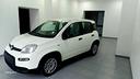 fiat-panda-1-0-hybrid-70cv-kmzero2024