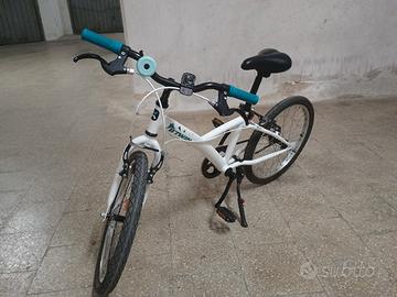 Bicicletta 20 pollici 