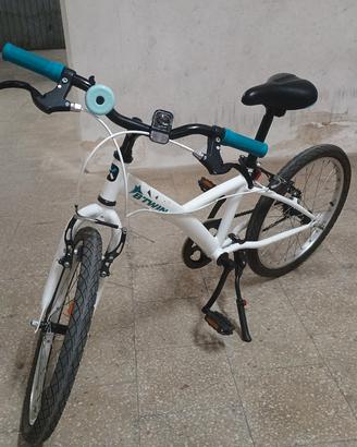Bicicletta 20 pollici 