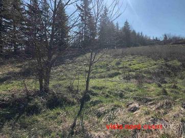 Immobile in asta di 1740 m² a Gazzola