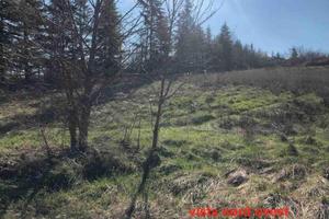 Immobile in asta di 1740 m² a Gazzola