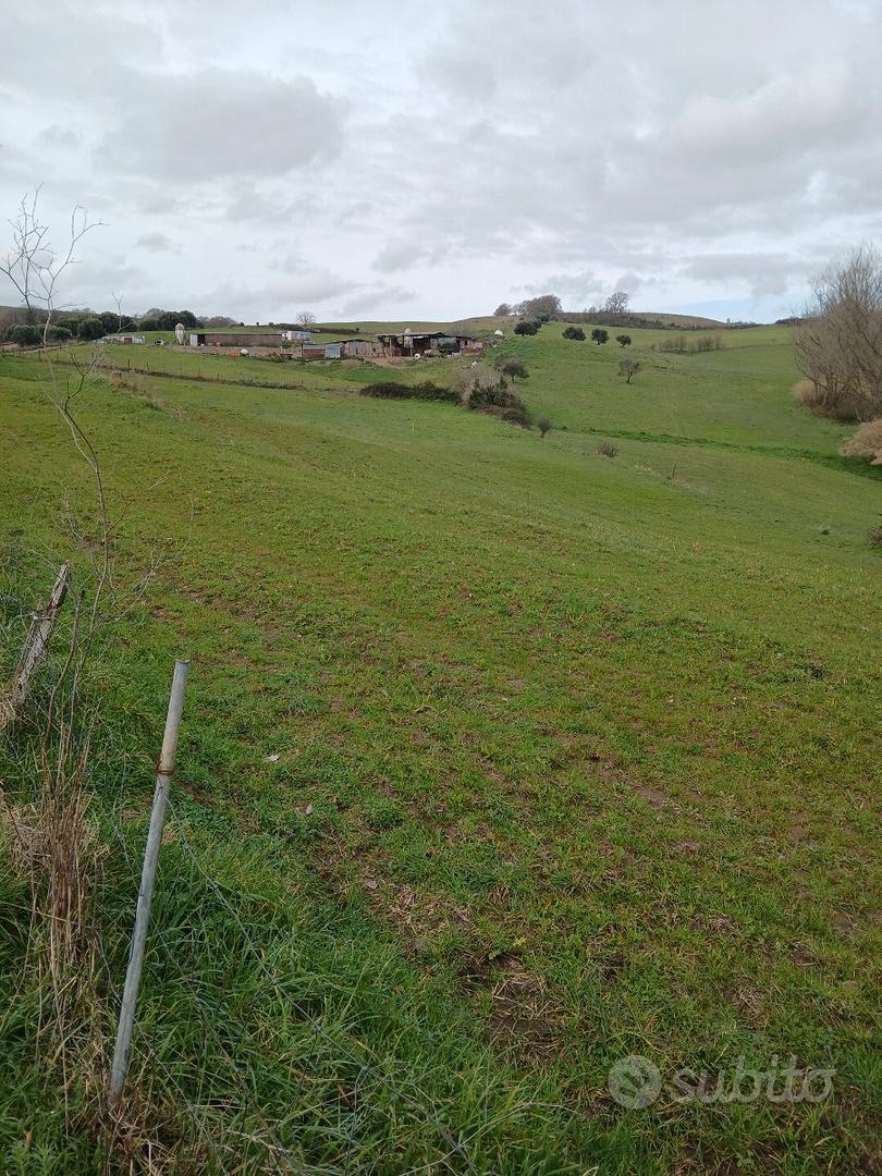 Terreno agricolo - Vista 2