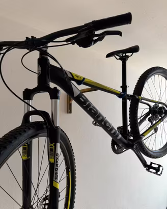 Mountain Bianchi Magma