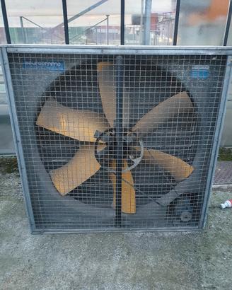 Ventilatore ed estrattore