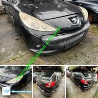 Ricambi usati Peugeot 206 Plus anno 2009 P