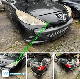 Ricambi usati Peugeot 206 Plus anno 2009 P