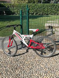 Mountain bike