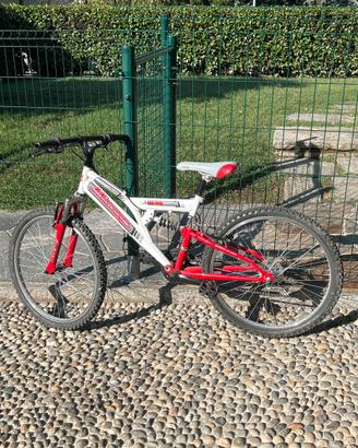 Mountain bike
